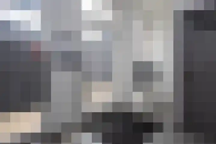 Smidseind 73 Bladel thumbnail 4
