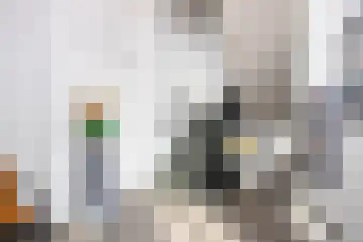 Smidseind 73 Bladel thumbnail 5