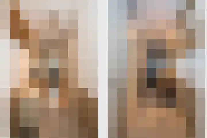 Smidseind 73 Bladel thumbnail 6