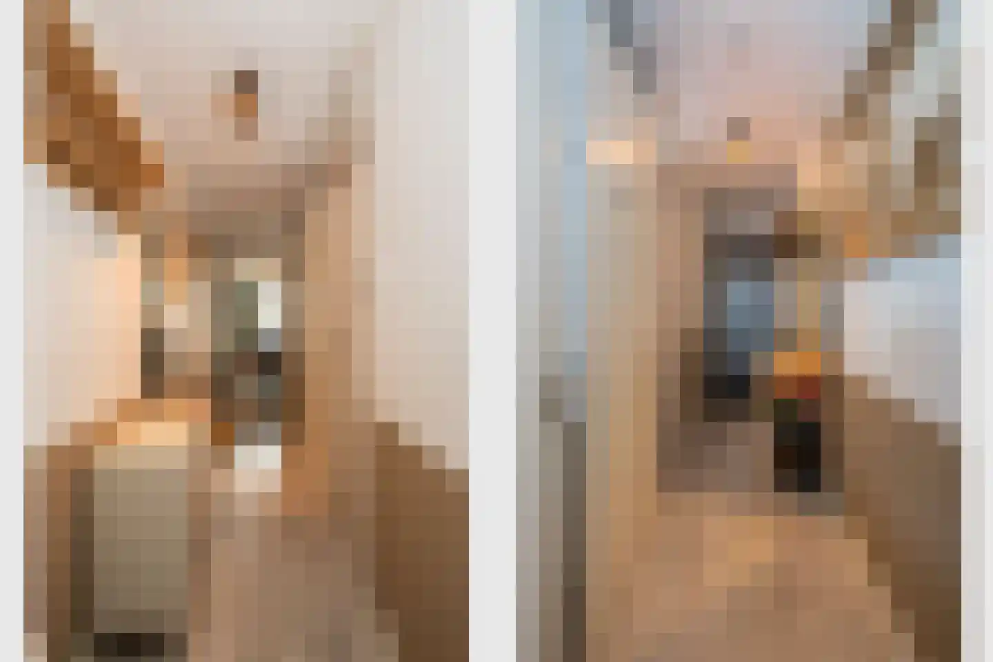 Smidseind 73 Bladel thumbnail 6