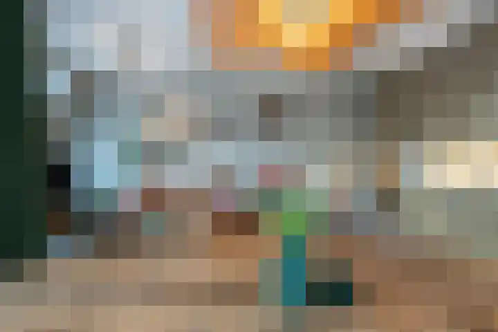 Smidseind 73 Bladel thumbnail 9