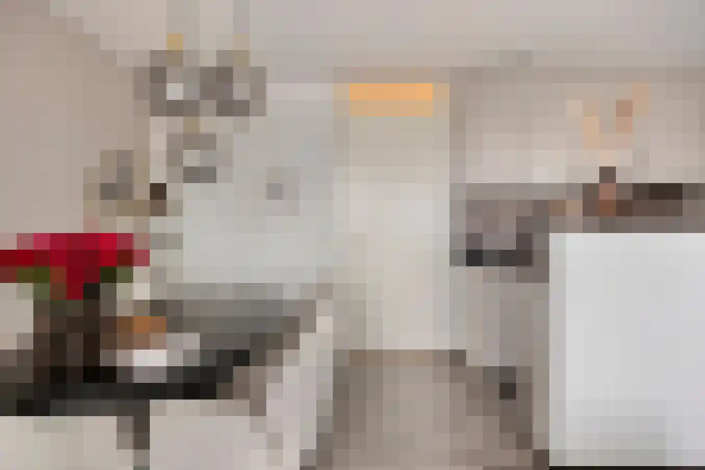 Smidseind 79 Bladel thumbnail 17