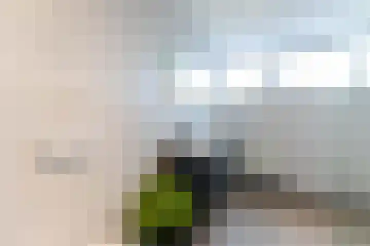 Smidseind 79 Bladel thumbnail 18