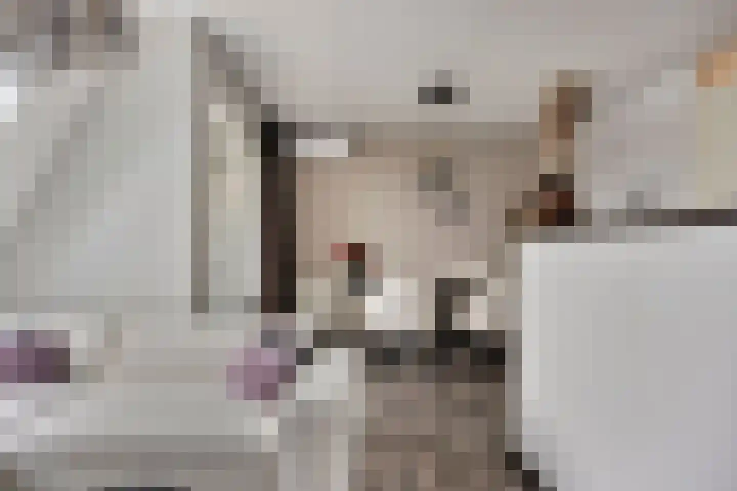 Smidseind 79 Bladel thumbnail 24