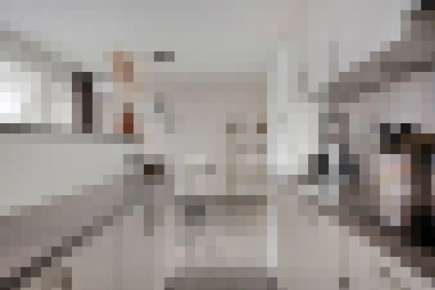 Smidseind 79 Bladel thumbnail 28