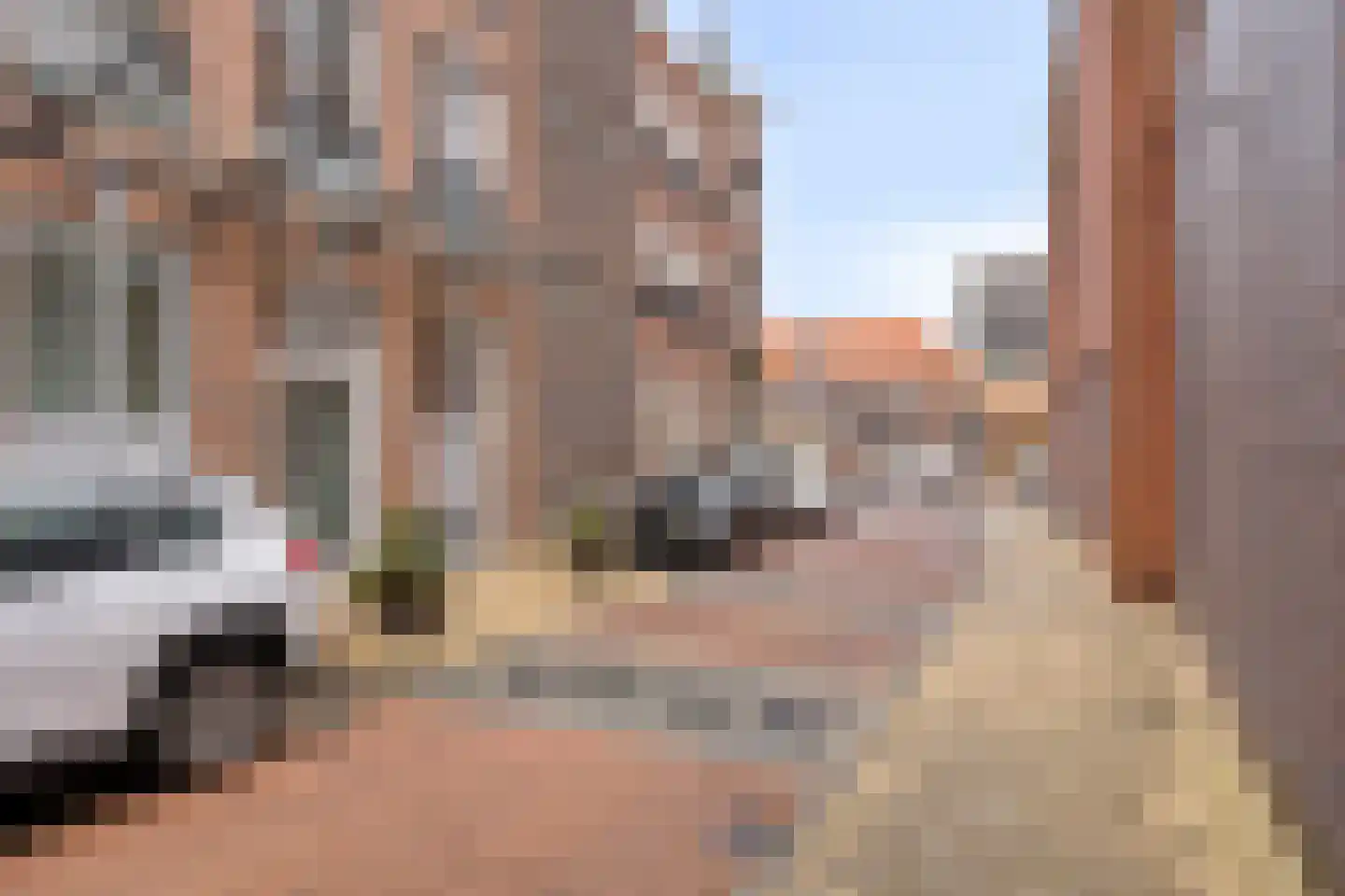 Smidseind 79 Bladel thumbnail 4