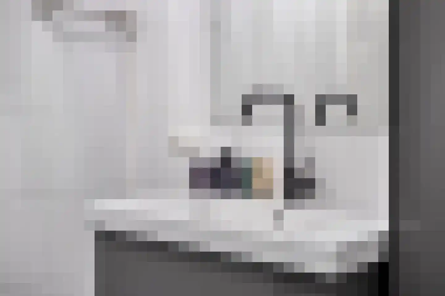 Smidseind 79 Bladel thumbnail 40