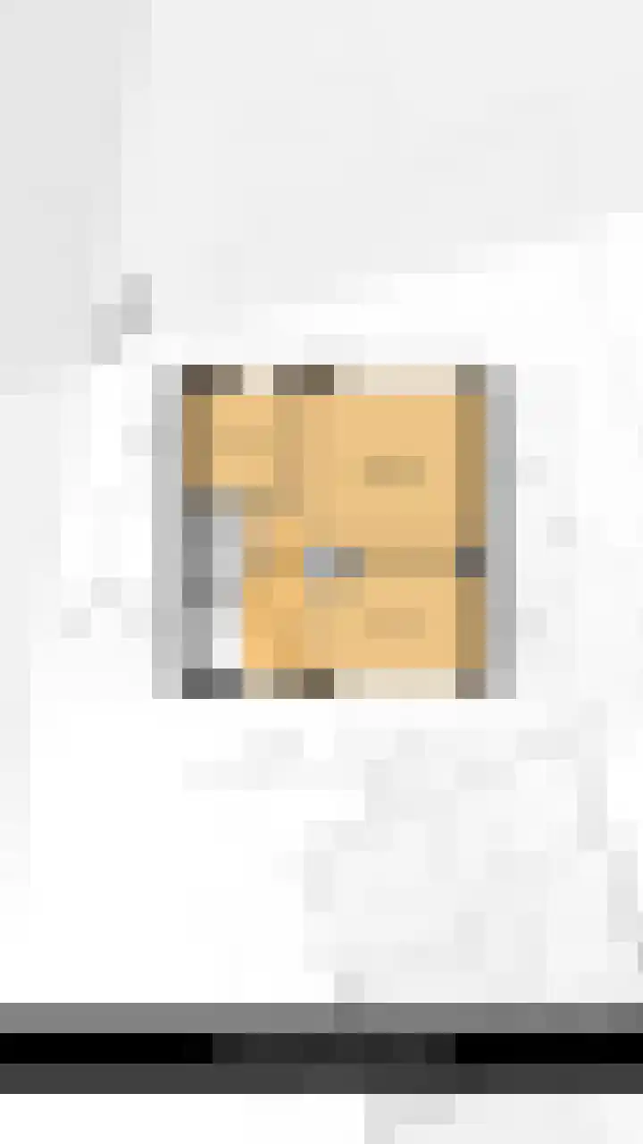 Smidseind 79 Bladel thumbnail 44
