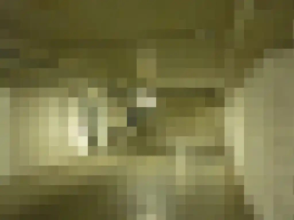 Smidseind 91 Bladel thumbnail 12