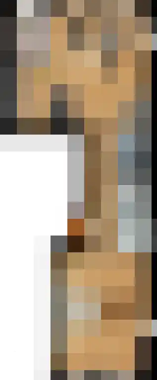 Smidseind 91 Bladel thumbnail 15