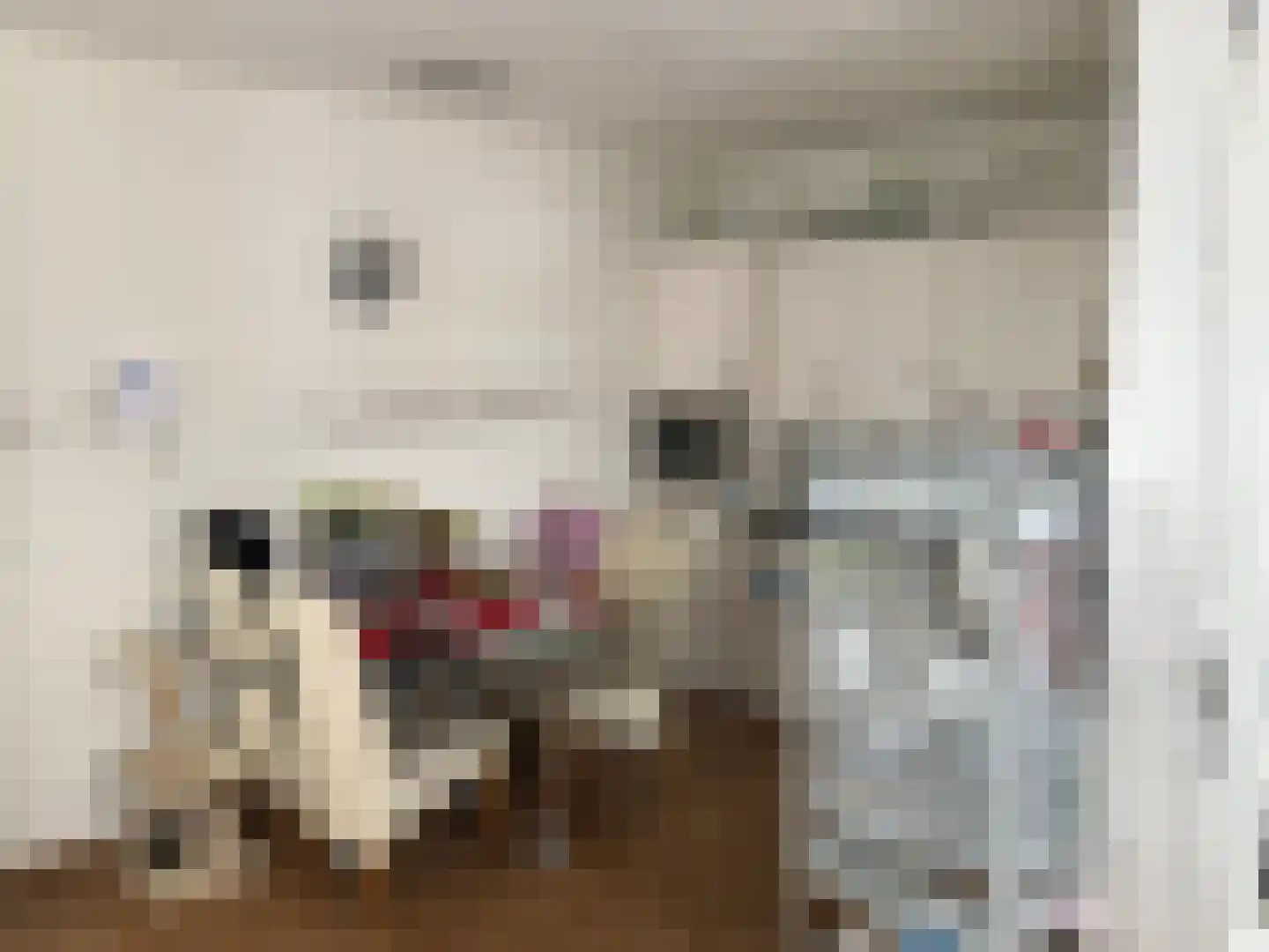 Smidseind 91 Bladel thumbnail 4