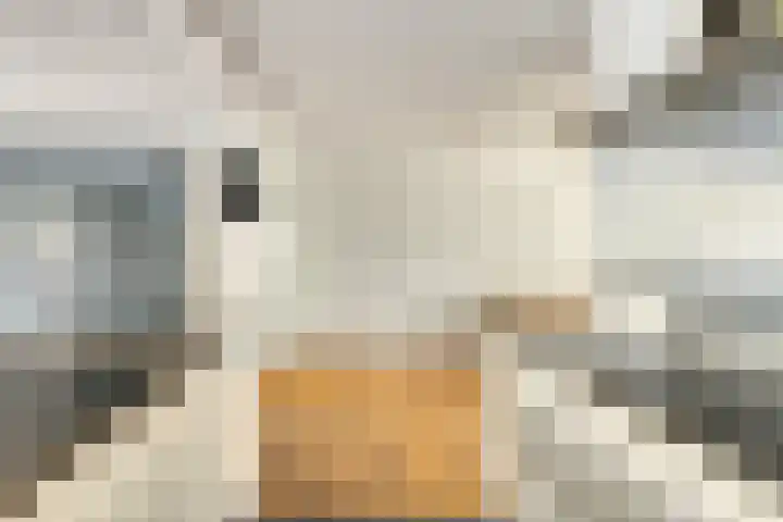 Smidsenkamp 15 Sittard thumbnail 11