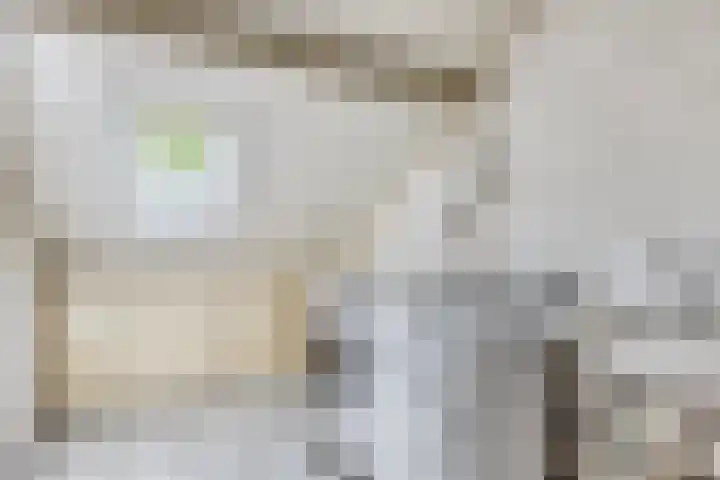 Smidsenkamp 15 Sittard thumbnail 22