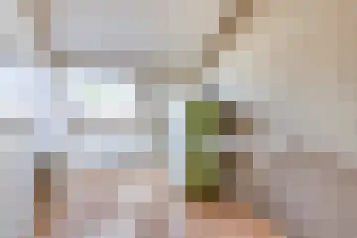 Smidsenkamp 15 Sittard thumbnail 23