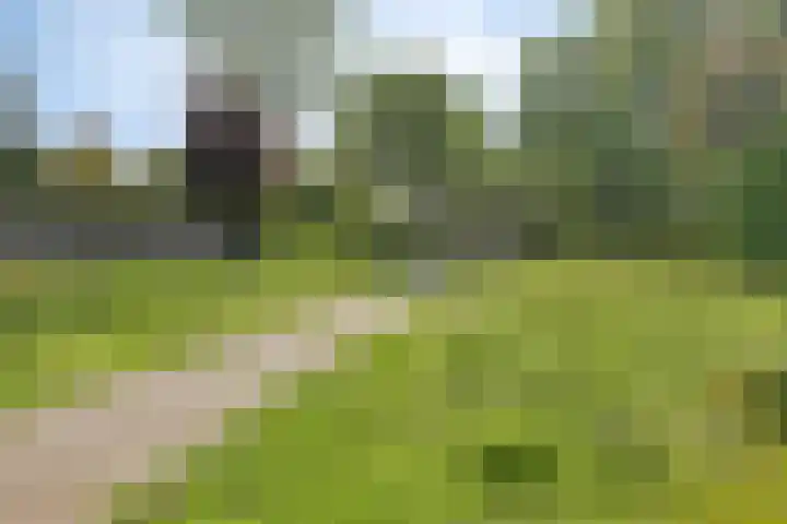Smidsenkamp 15 Sittard thumbnail 32