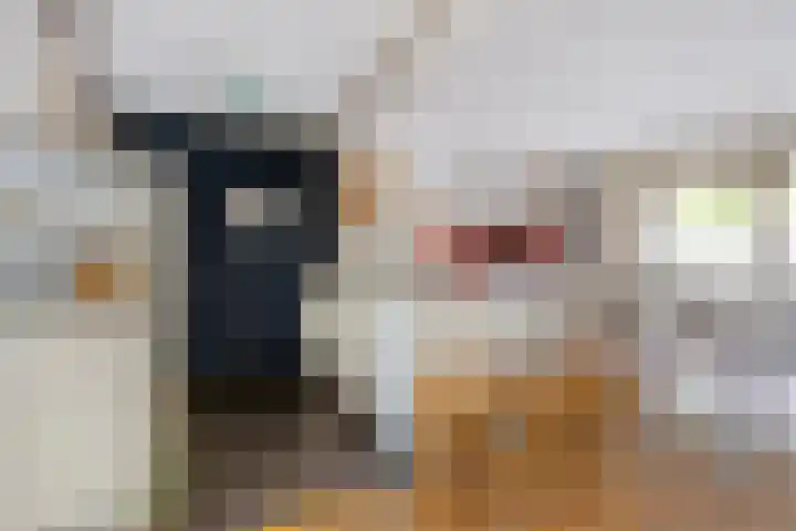 Smidsenkamp 15 Sittard thumbnail 9