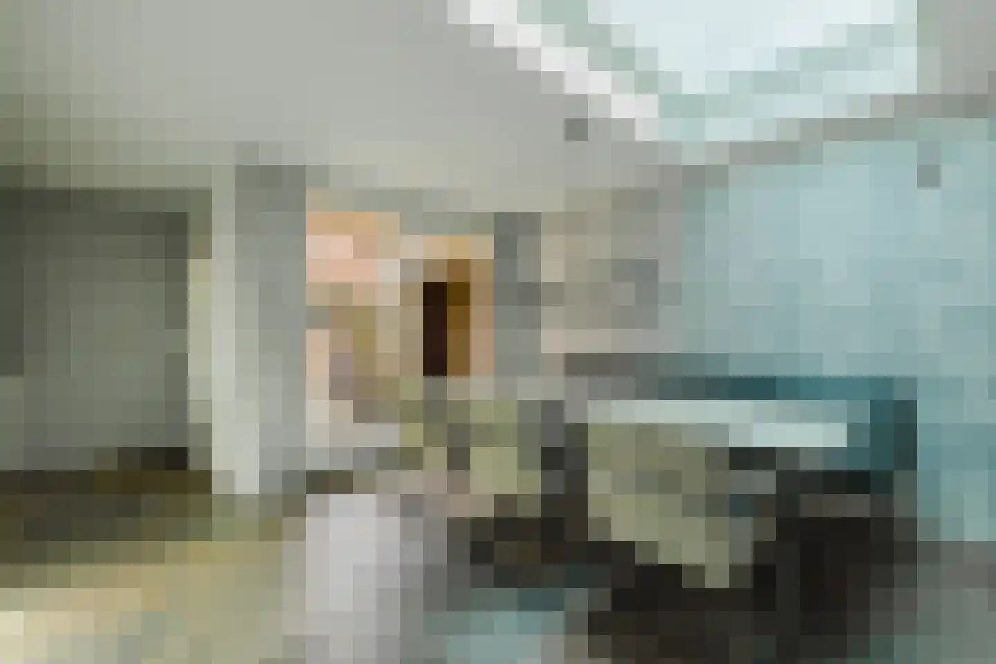 Smidsepad 20 Liempde thumbnail 13