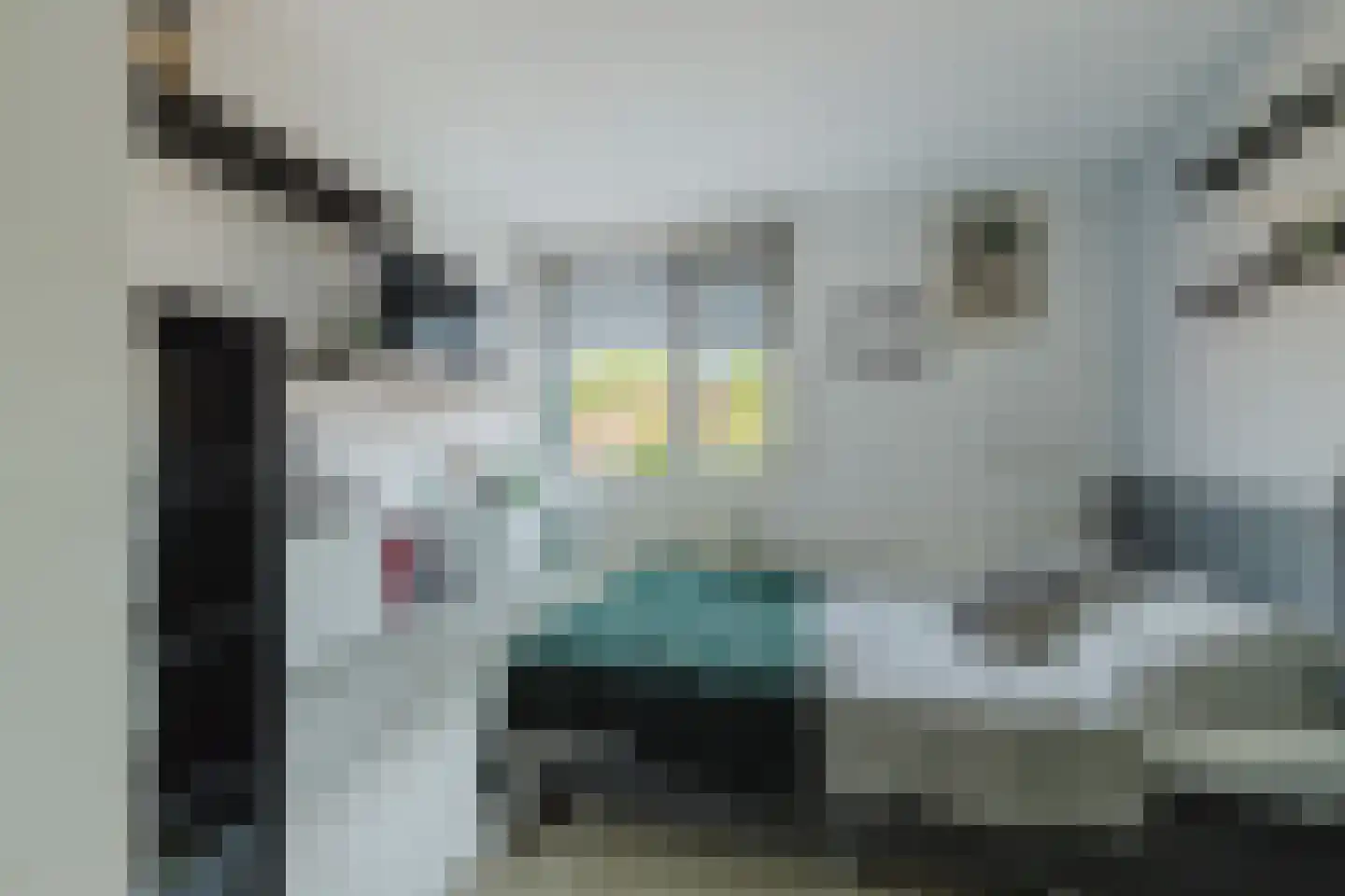 Smidsepad 20 Liempde thumbnail 24