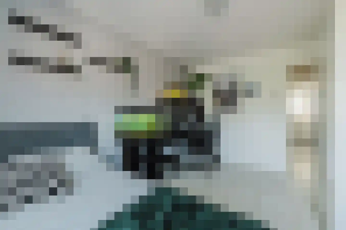 Smidsepad 20 Liempde thumbnail 25