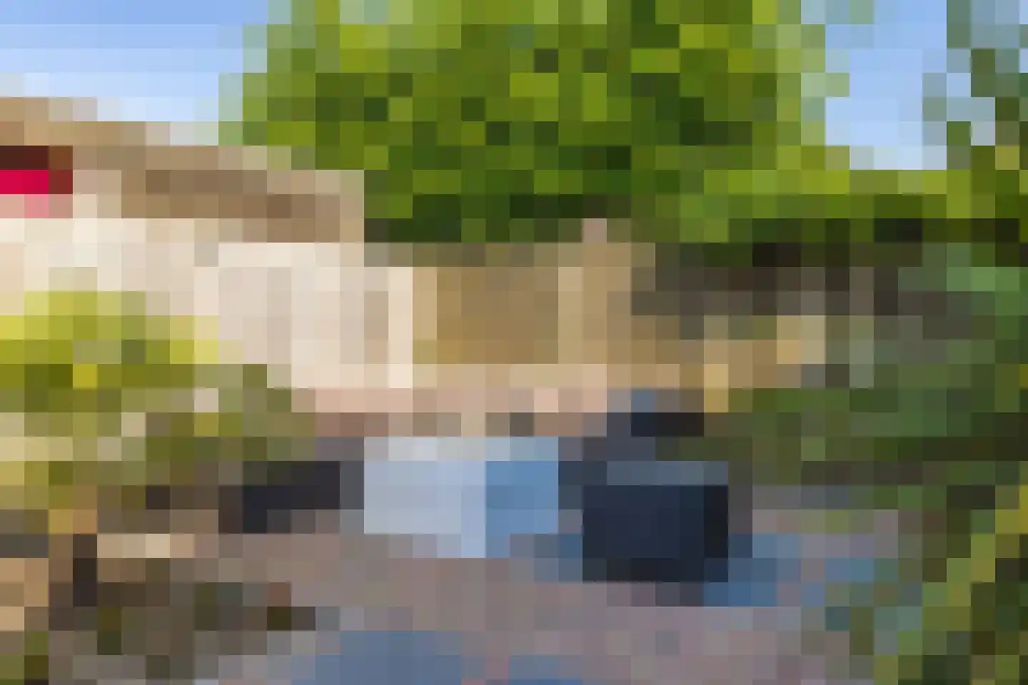 Smidsepad 20 Liempde thumbnail 4