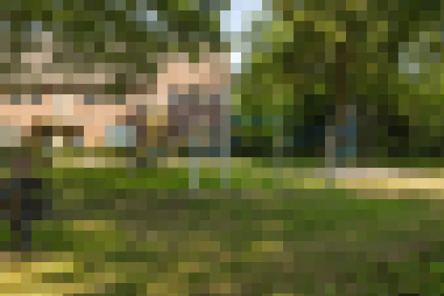 Smidsepad 20 Liempde thumbnail 46