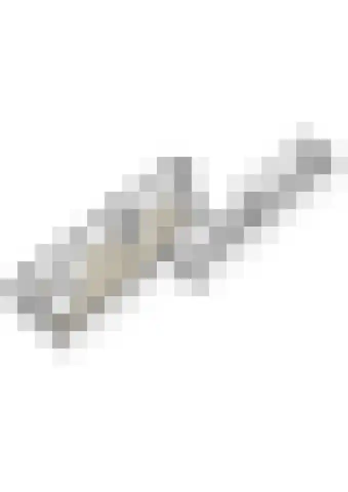 Smidsepad 20 Liempde thumbnail 50