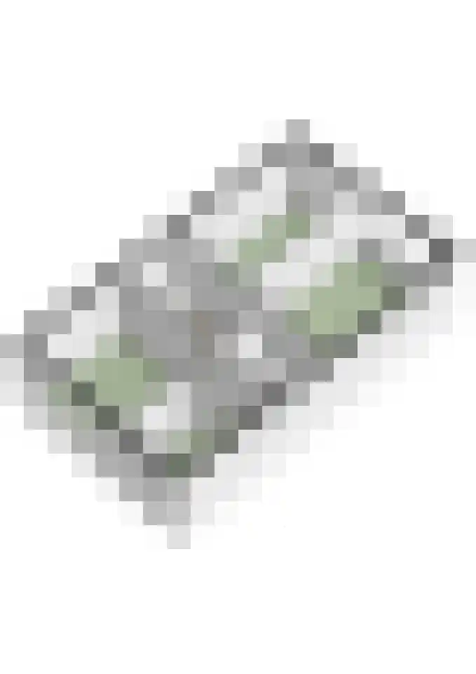 Smidsepad 20 Liempde thumbnail 51