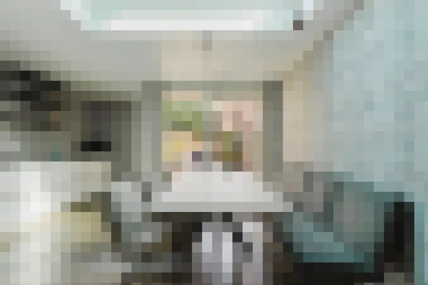 Smidsepad 20 Liempde thumbnail 9