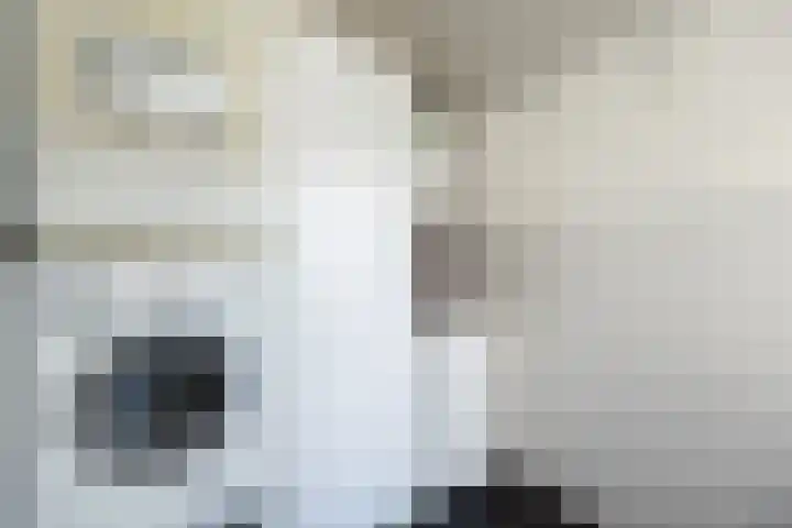 Smidsepad 34 Liempde thumbnail 13