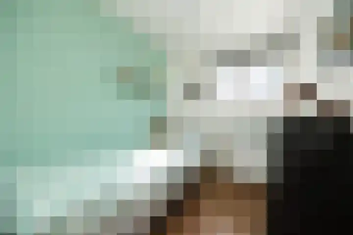 Smidsepad 34 Liempde thumbnail 19