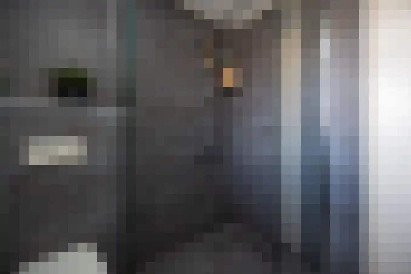 Smidsepad 34 Liempde thumbnail 21