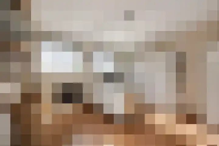 Smidsepad 34 Liempde thumbnail 21