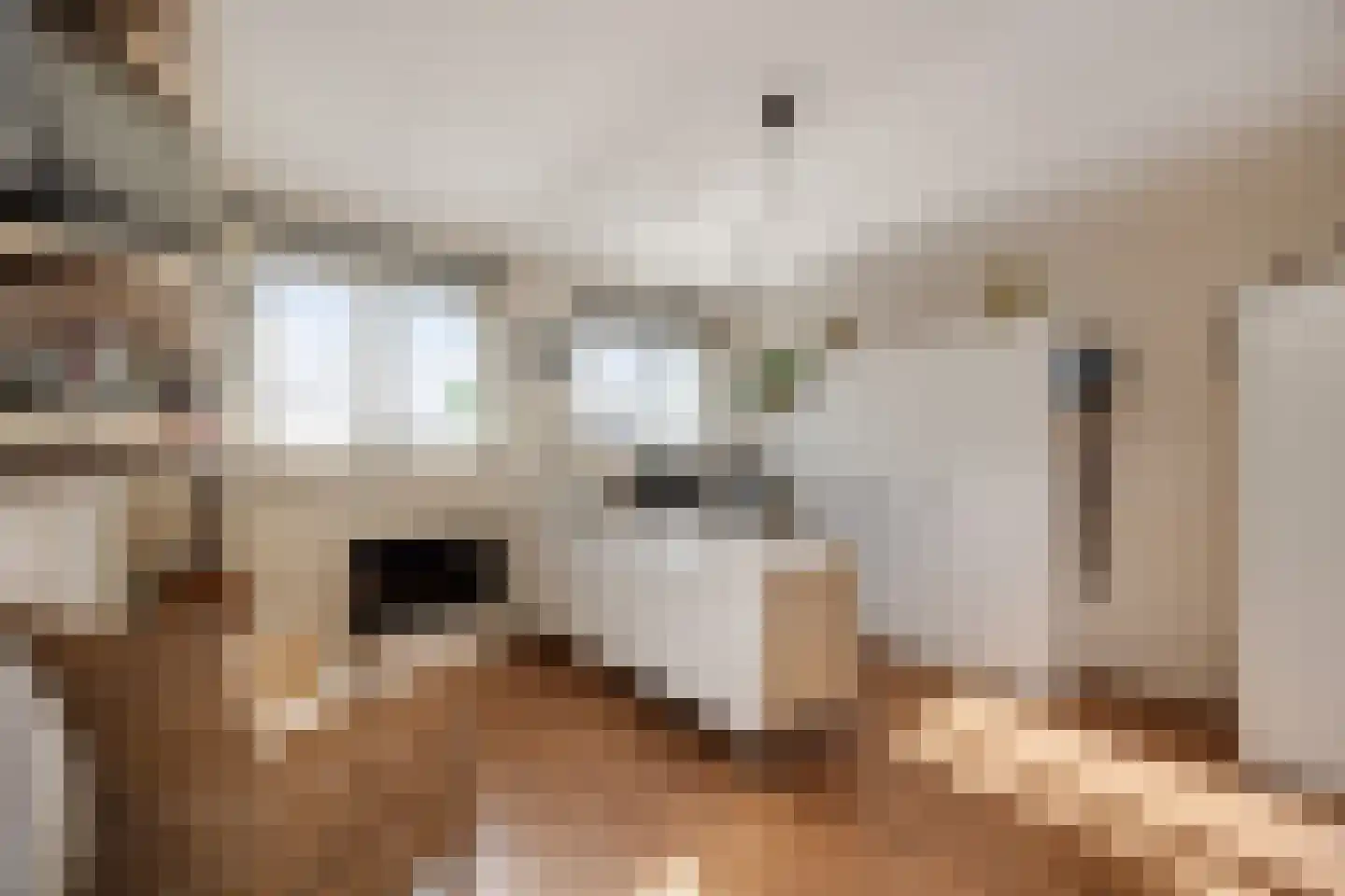 Smidsepad 34 Liempde thumbnail 24