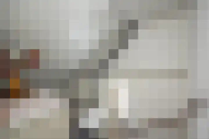 Smidsepad 34 Liempde thumbnail 26