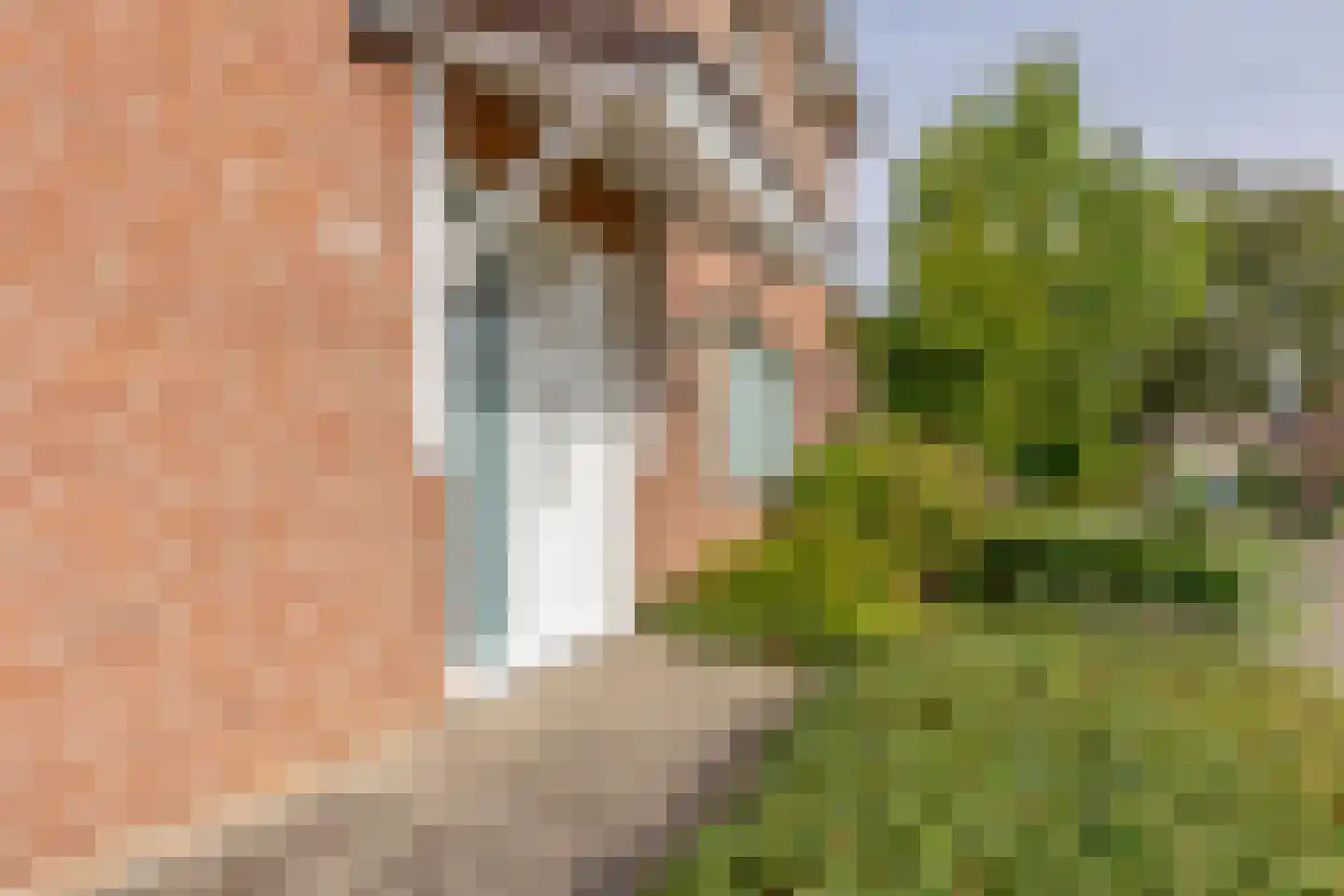 Smidserweg 8 Munstergeleen thumbnail 7