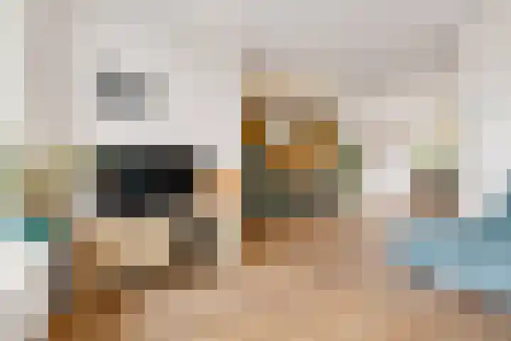 Smidsgilde 6 Houten thumbnail 13