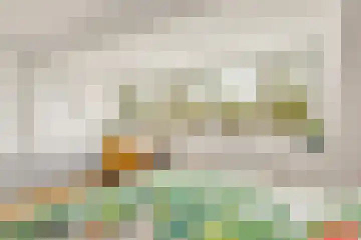 Smidsgilde 6 Houten thumbnail 44
