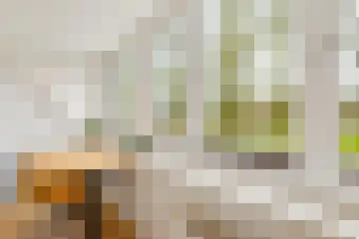 Smidsgilde 6 Houten thumbnail 50