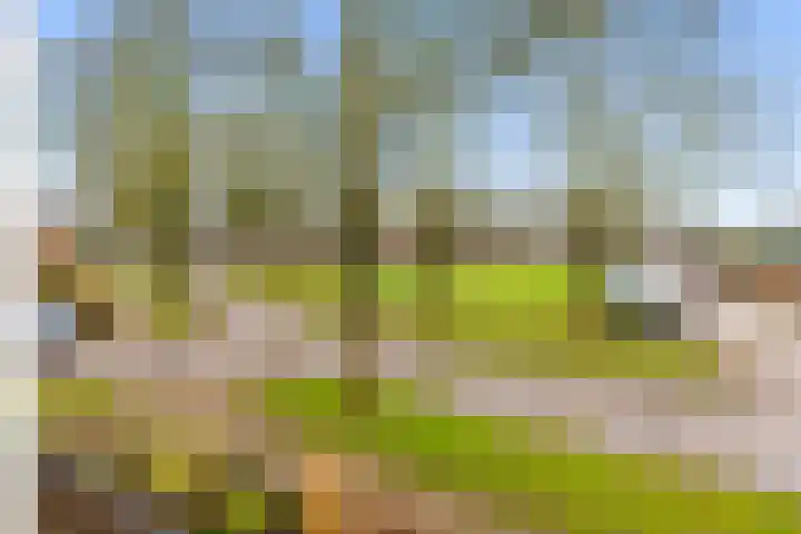 Smidsgilde 6 Houten thumbnail 52