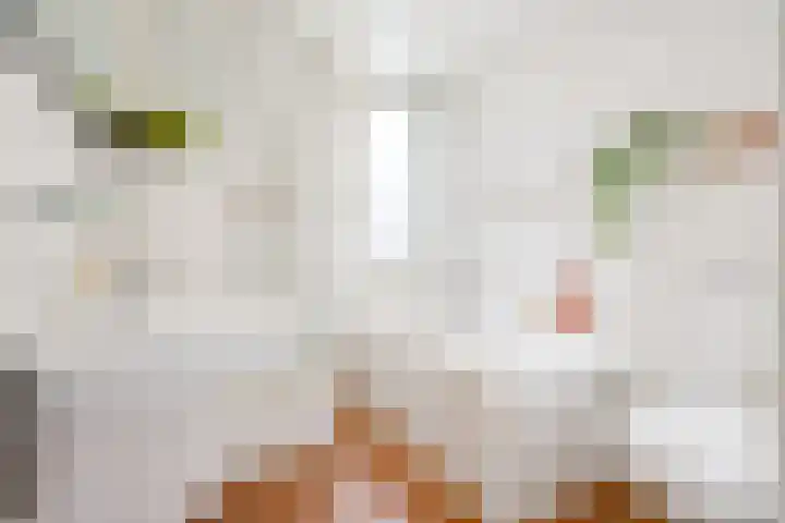 Smidsgilde 6 Houten thumbnail 59
