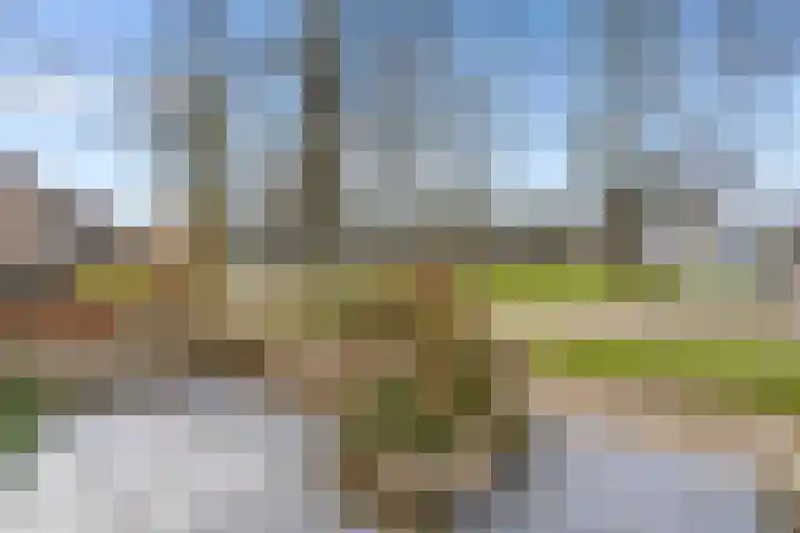 Smidsgilde 6 Houten thumbnail 6