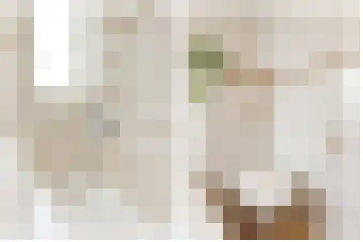 Smidsgilde 6 Houten thumbnail 61