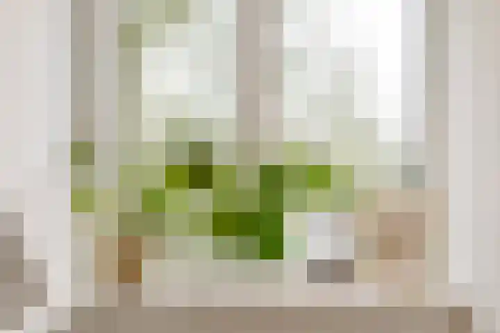 Smidsgilde 6 Houten thumbnail 65