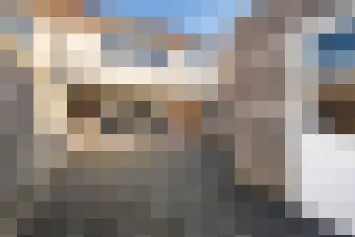 Smidshamer 18 Dronten thumbnail 24