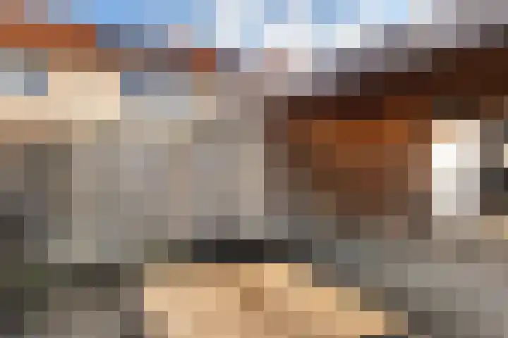Smidshamer 18 Dronten thumbnail 26