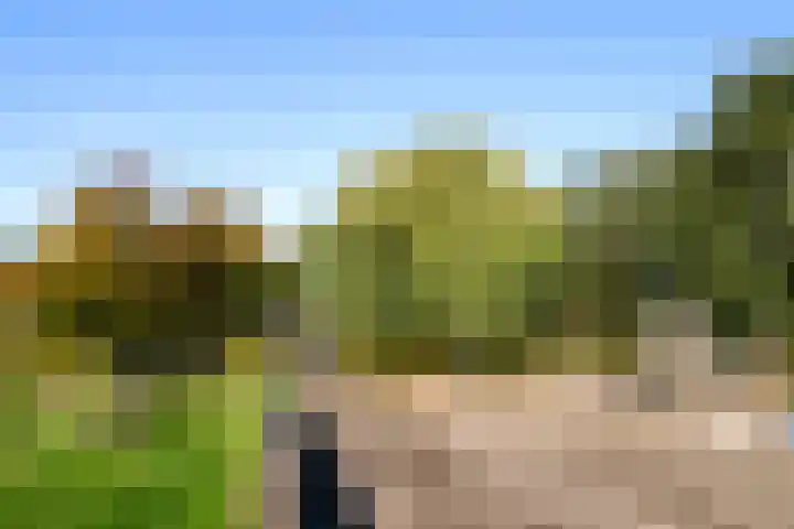 Smidshamer 18 Dronten thumbnail 27