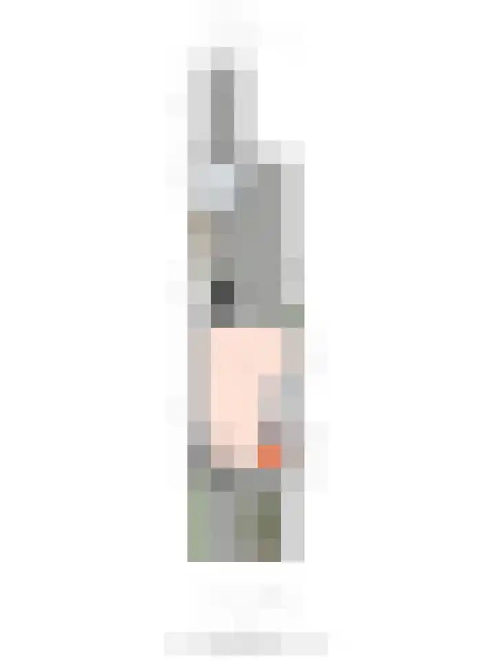 Smidshamer 18 Dronten thumbnail 28