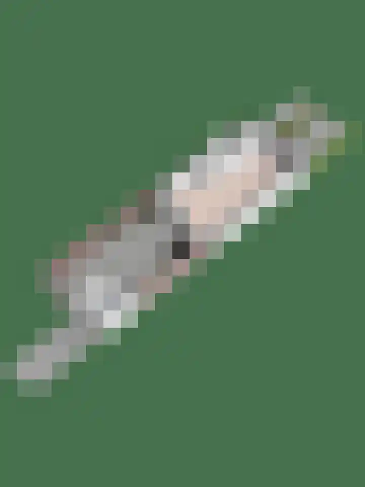 Smidshamer 18 Dronten thumbnail 33