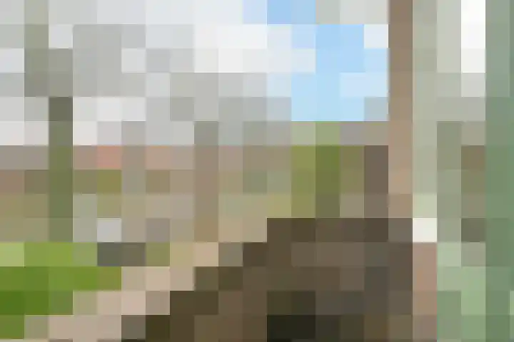 Smidshamer 18 Dronten thumbnail 35