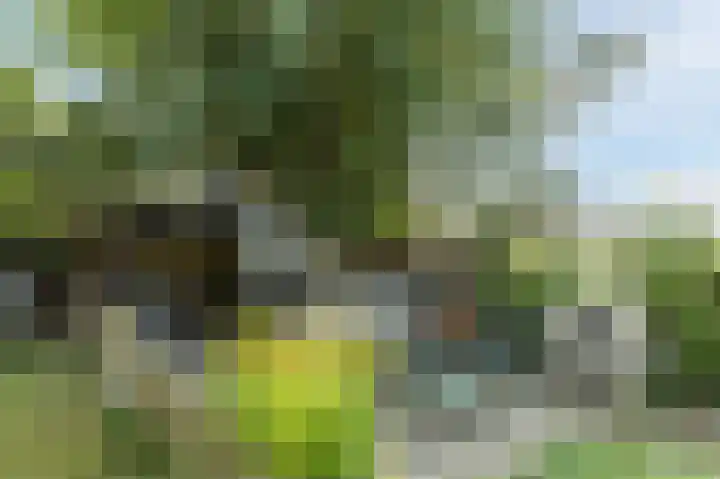 Smidshamer 18 Dronten thumbnail 36